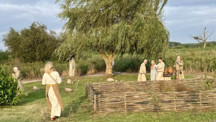 545596342 1180217500807630 3617058648690629457 n e1757933603198