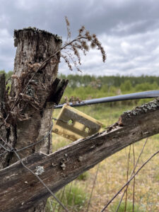 pole namiotowe odpocznijtu natura 2026 03